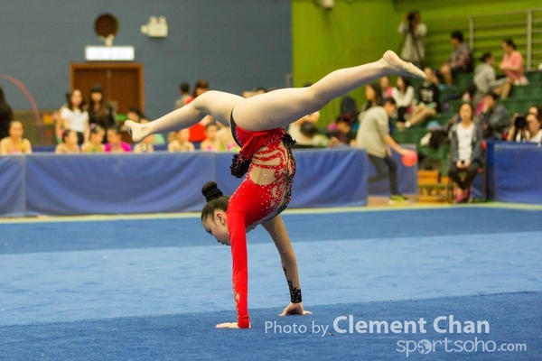 Rhythmic Gymnastics 2016_344