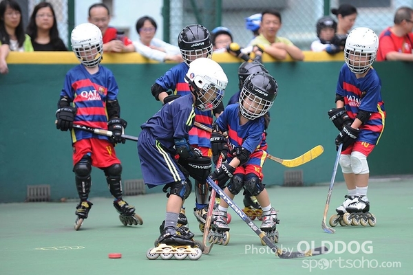 Hockey (7)