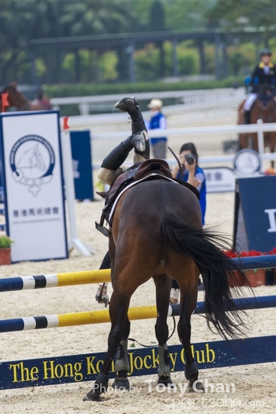 LonginesJumping_015