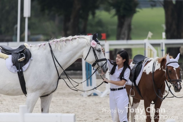 LonginesJumping_043