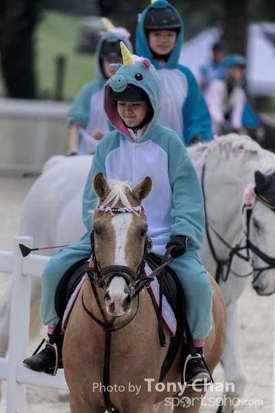 LonginesJumping_078