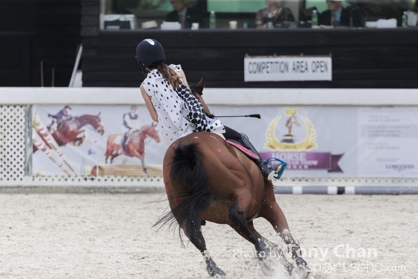 LonginesJumping_103