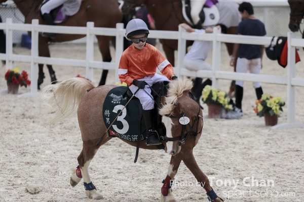 LonginesJumping_110
