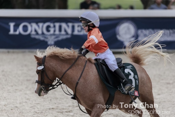 LonginesJumping_120