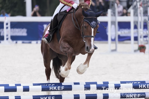 LonginesJumping_153