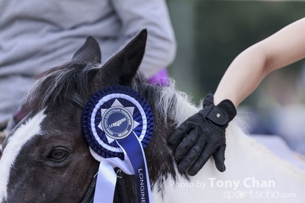 LonginesJumping_224