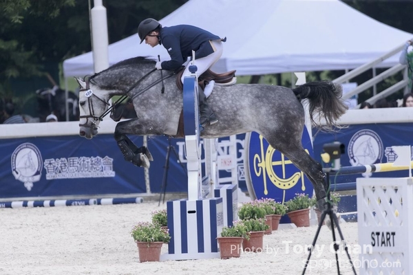 LonginesJumping_250