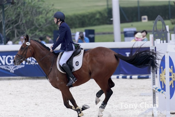 LonginesJumping_273