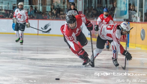 Mega Ice Hockey 5s (6)