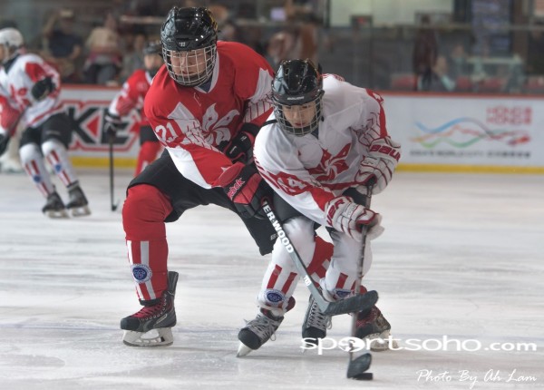 Mega Ice Hockey 5s (8)