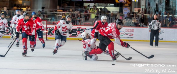 Mega Ice Hockey 5s (12)
