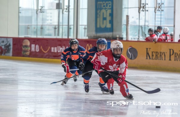 Mega Ice Hockey 5s (13)