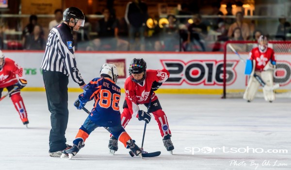 Mega Ice Hockey 5s (19)