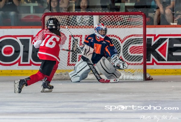 Mega Ice Hockey 5s (21)