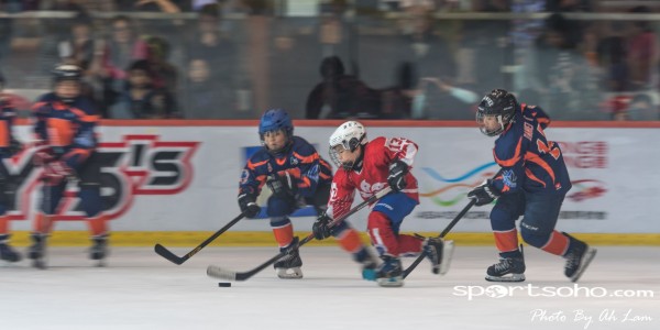 Mega Ice Hockey 5s (22)
