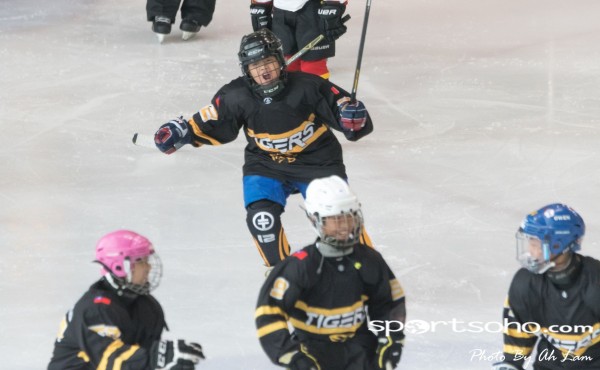 Mega Ice Hockey 5s (27)