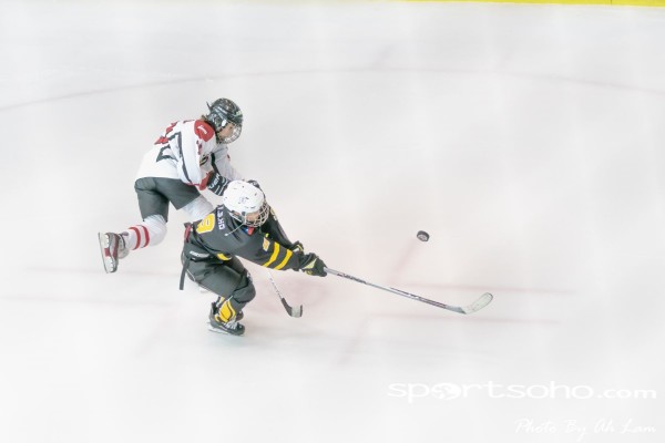Mega Ice Hockey 5s (28)