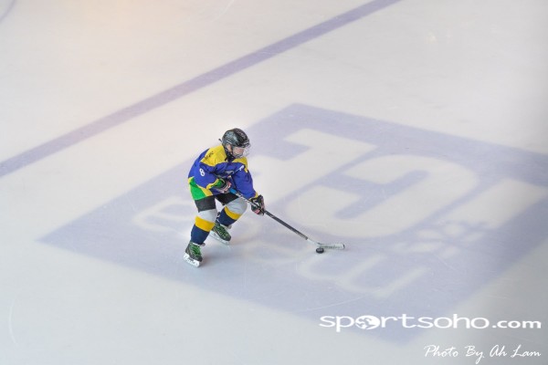 Mega Ice Hockey 5s (29)