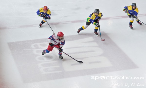 Mega Ice Hockey 5s (30)