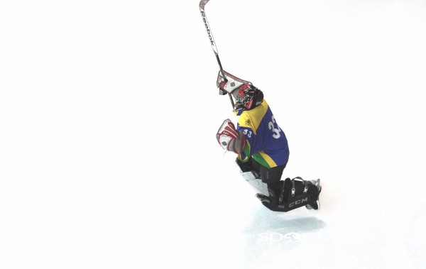 Mega Ice Hockey 5s (34)