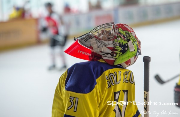 Mega Ice Hockey 5s (48)