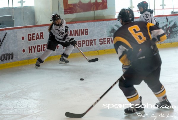 Mega Ice Hockey 5s (51)