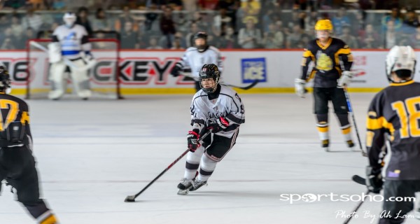 Mega Ice Hockey 5s (54)