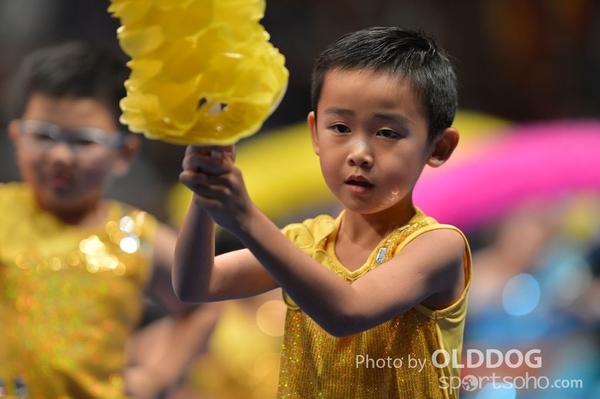 Gymnastics (10)