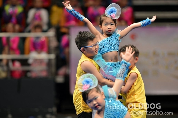 Gymnastics (15)
