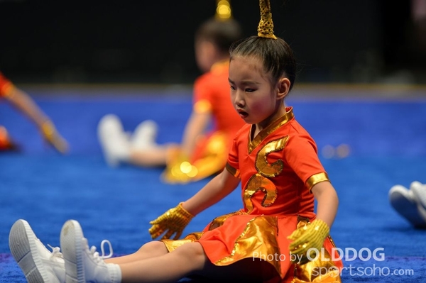 Gymnastics (48)