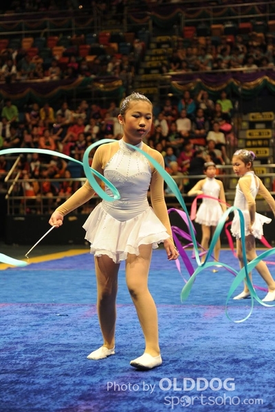 Gymnastics (74)