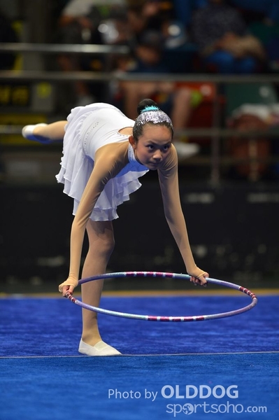 Gymnastics (75)