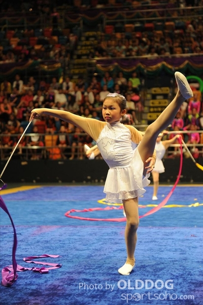 Gymnastics (76)