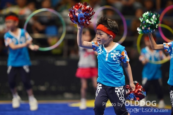 Gymnastics (130)