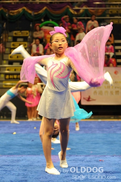 Gymnastics (154)
