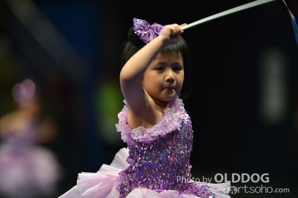Gymnastics (181)