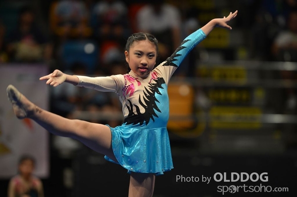 Gymnastics (193)