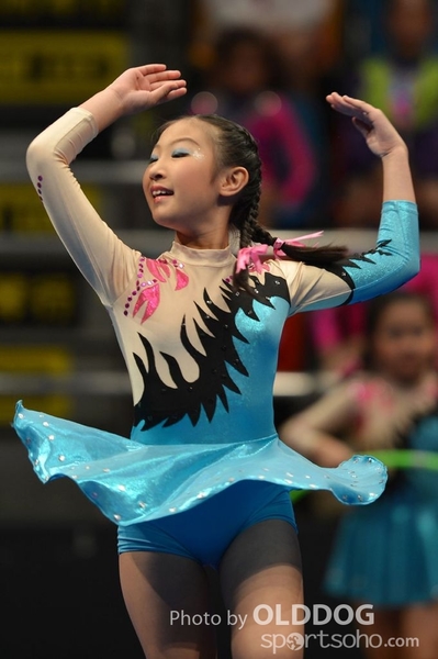 Gymnastics (194)