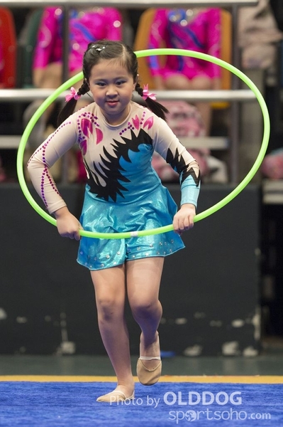 Gymnastics (195)
