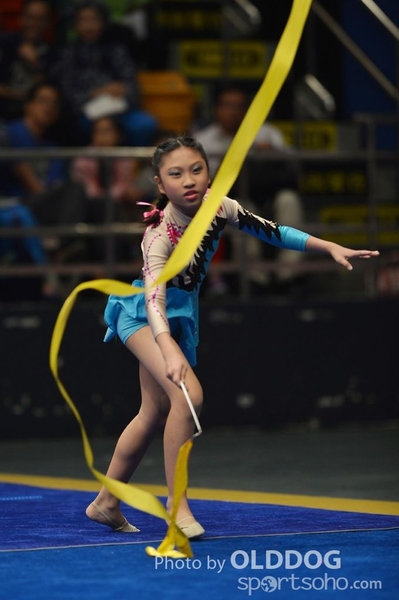 Gymnastics (196)