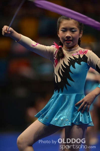 Gymnastics (198)