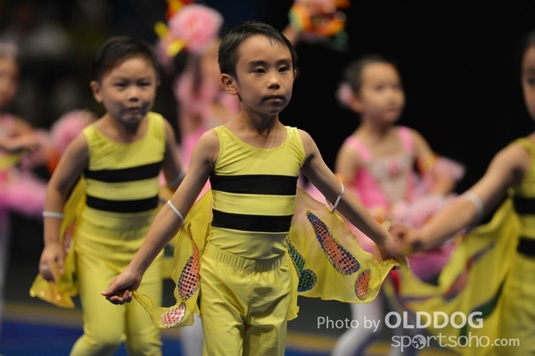Gymnastics (207)