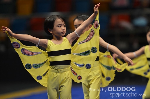 Gymnastics (213)