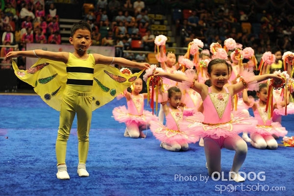 Gymnastics (218)
