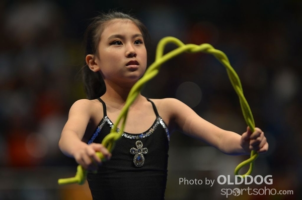 Gymnastics (223)