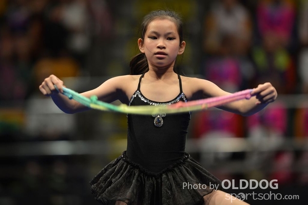 Gymnastics (224)