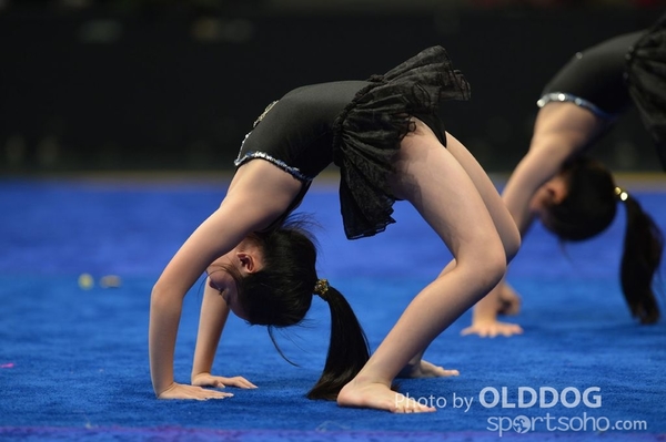 Gymnastics (229)