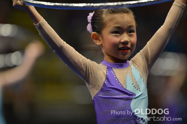 Gymnastics (235)