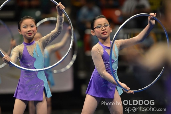 Gymnastics (236)