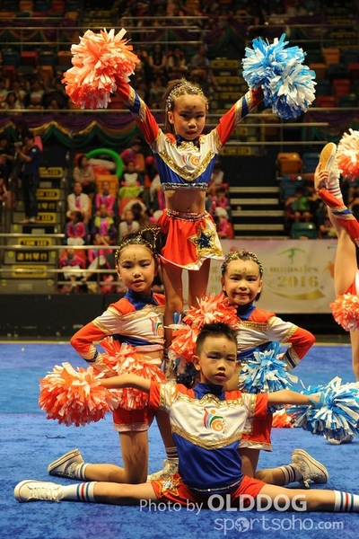 Gymnastics (259)